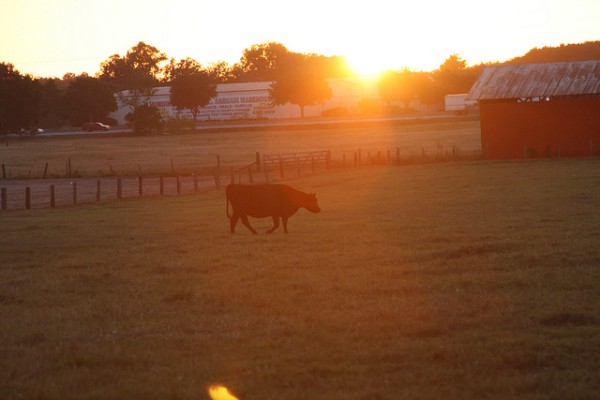 Small Farms